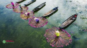 tour du lịch miền tây