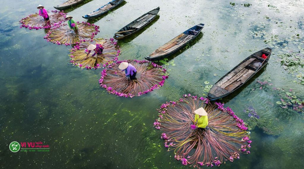 tour du lịch miền tây