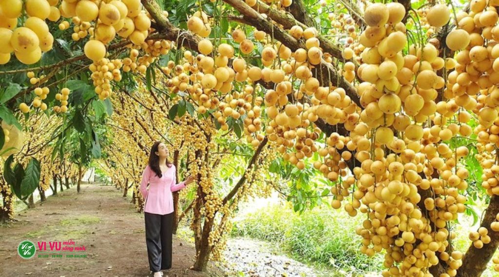 du lịch miền tây 1 ngày